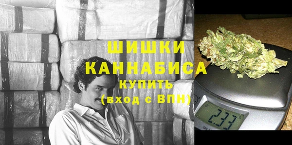 прущая мука Вяземский